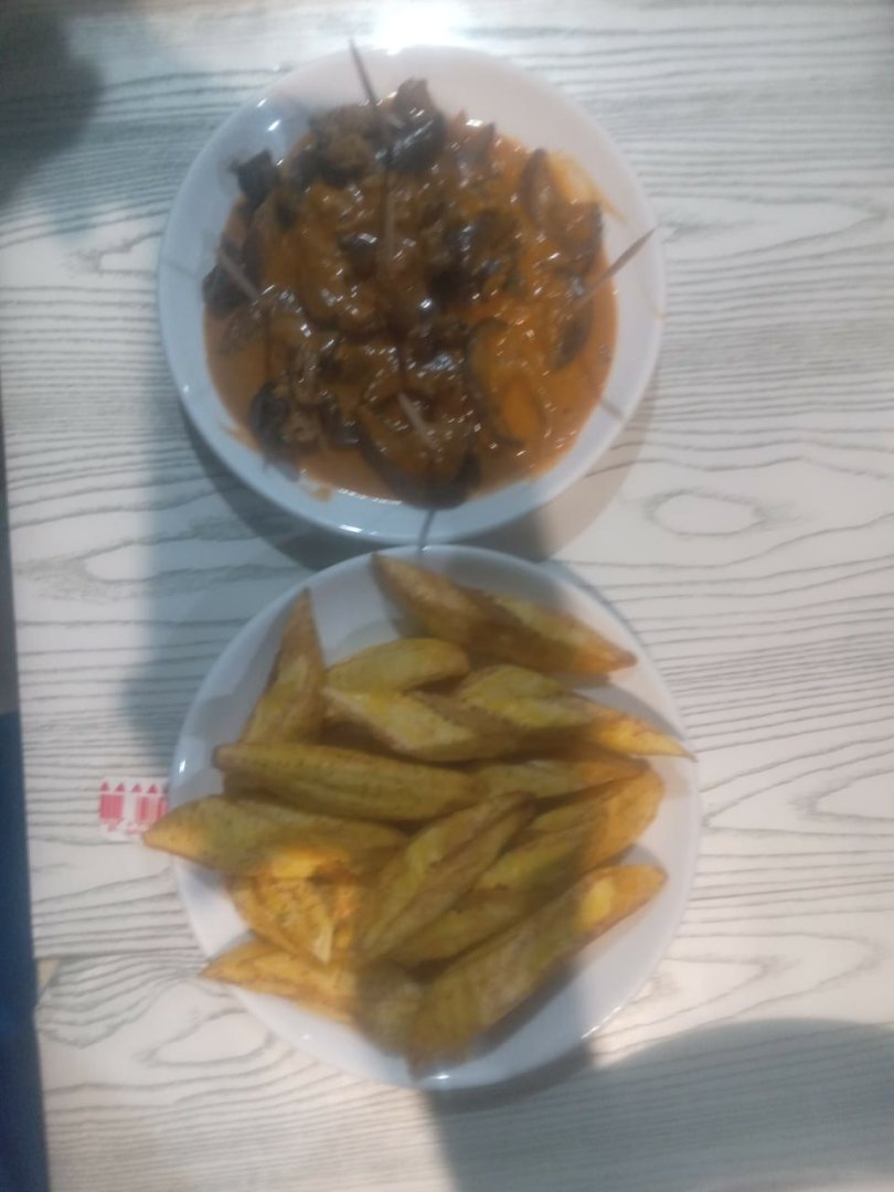 Búzio da terra
